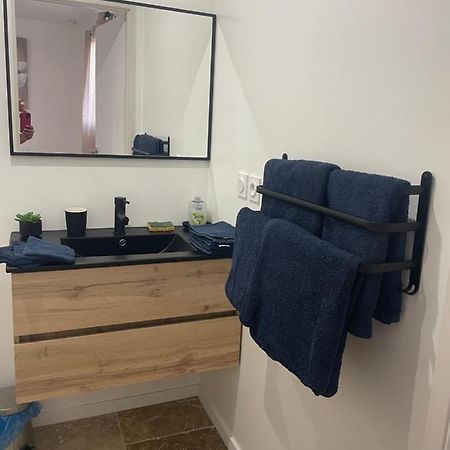 Ferienwohnung Bienvenue En Beaujolais Saint-Jean-dʼArdières Exterior foto