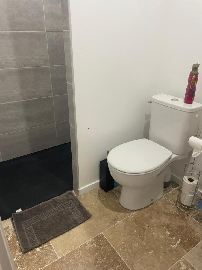 Ferienwohnung Bienvenue En Beaujolais Saint-Jean-dʼArdières Exterior foto